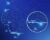Paratus launches  fiber express link from South Africa to Europe